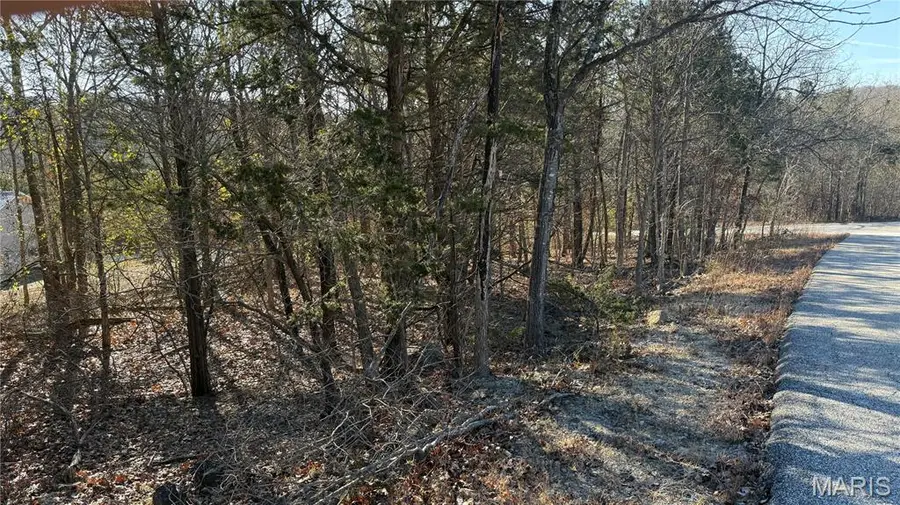 0 Sassafras Dr, Hillsboro, MO 63050 - Image #3