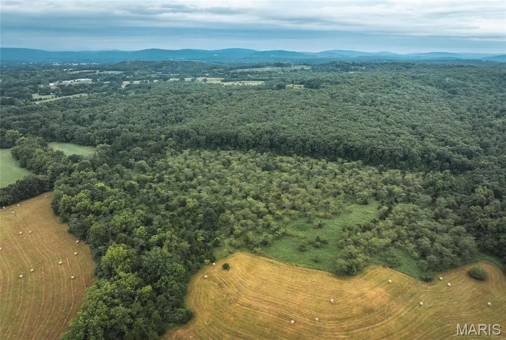 0 John Emling Road, Bismarck, MO 63624 - Image #1