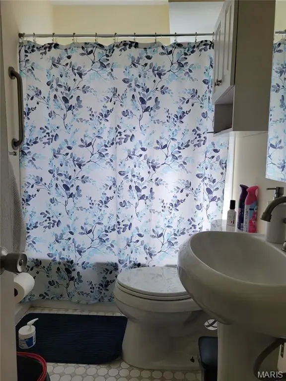 3947 Jamieson Avenue, Saint Louis, MO 63109 - Image #3