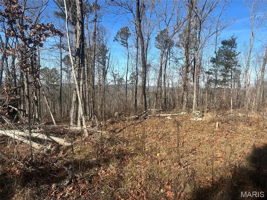 300 Madison Cr 410, Fredericktown, MO 63645 - Image #2