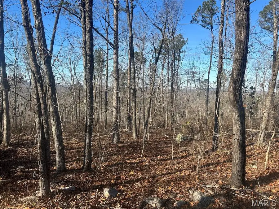 300 Madison Cr 410, Fredericktown, MO 63645 - Image #3