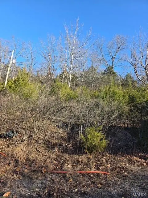 000 Rice Drive, Waynesville, MO 65583 - Image #1