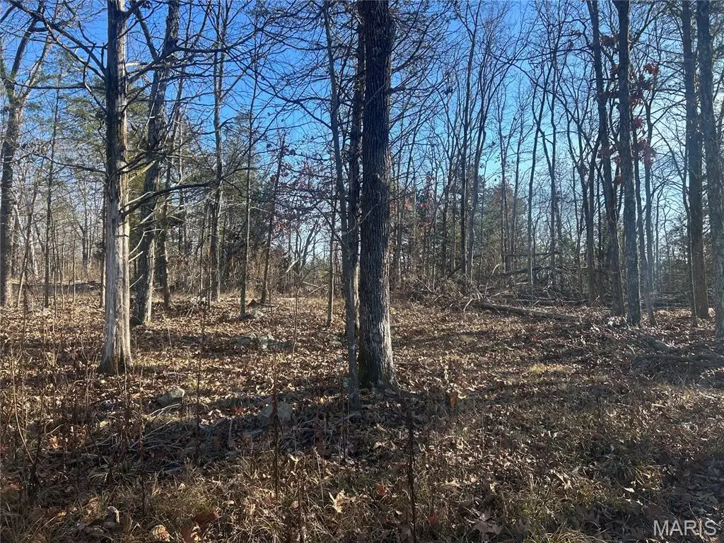 301 Madison Cr 410, Fredericktown, MO 63645 - Image #1