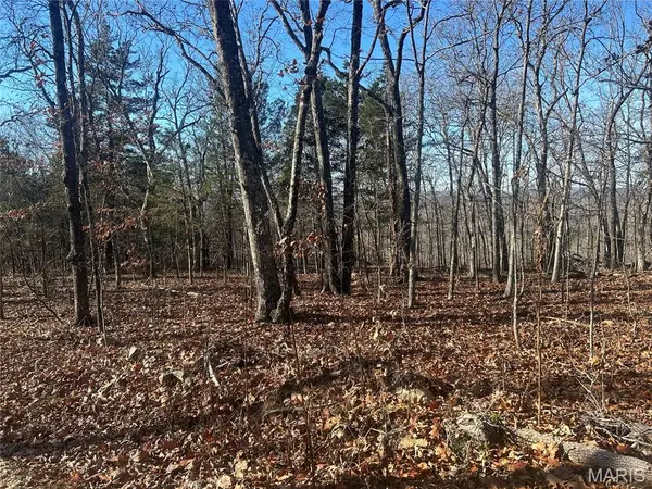 302 Madison Cr 410, Fredericktown, MO 63645