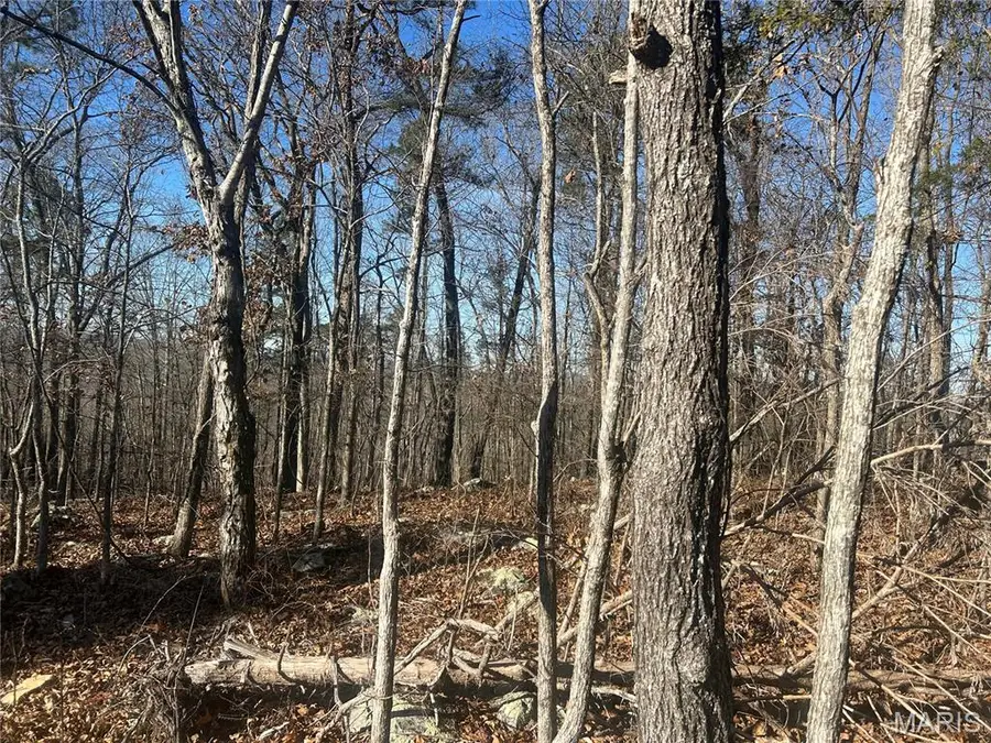 302 Madison Cr 410, Fredericktown, MO 63645 - Image #3