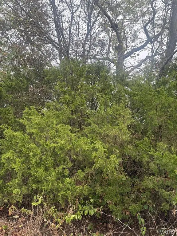 Lot 2 Hilltop Acres Drive, Washington, MO 63090 - Image #1