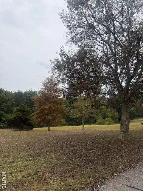 Lot 2 Hilltop Acres Drive, Washington, MO 63090 - Image #2