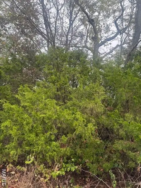 Lot 2 Hilltop Acres Drive, Washington, MO 63090 - Image #3