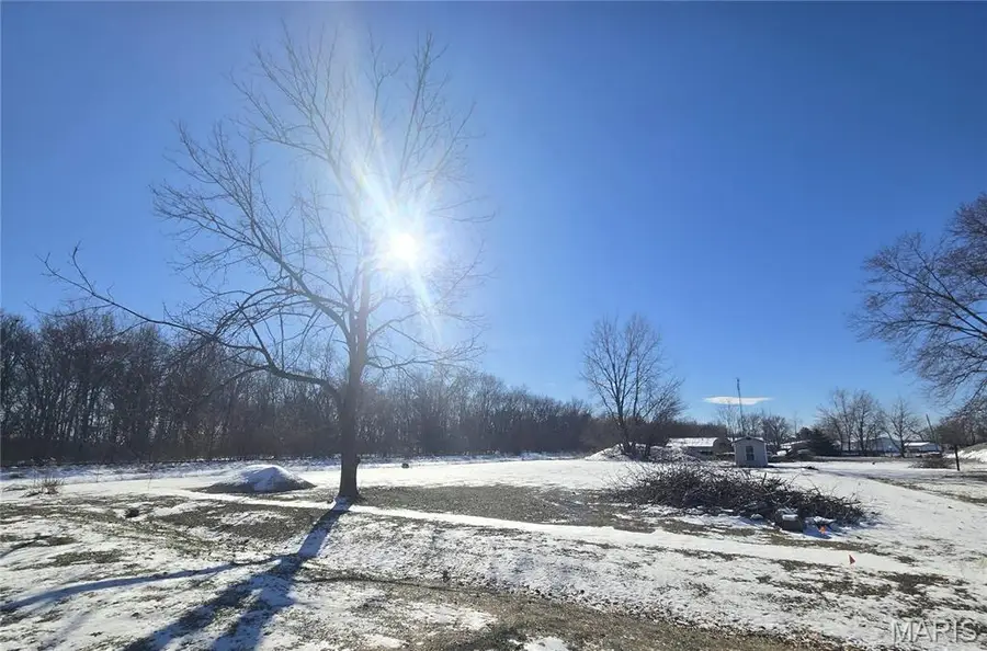 102 W 3rd Street, Coffeen, IL 62017 - Image #3