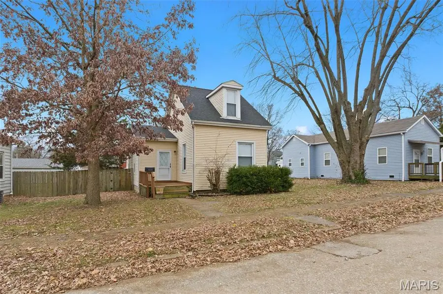 1114 La Salle Street, Belleville, IL 62221 - #3