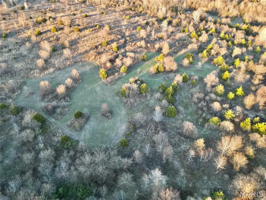 00 Perrine Street, Centralia, IL 62801 - Image #3