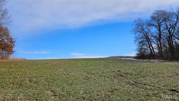 8.6 Acres Pike 277, Louisiana, MO 63353