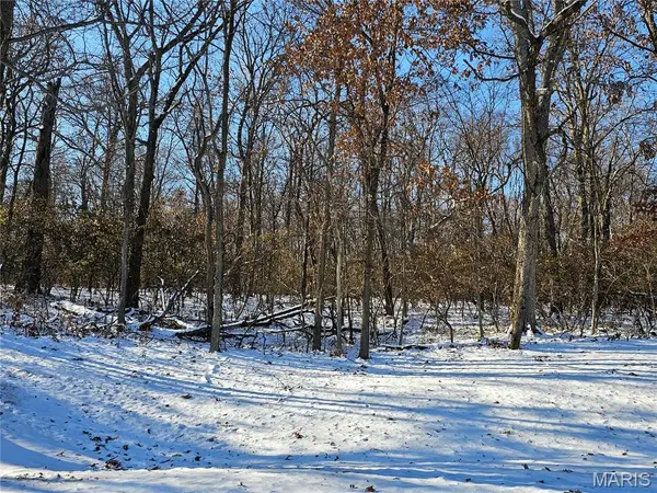 TBD Meisenheimer Avenue, Hillsboro, IL 62049