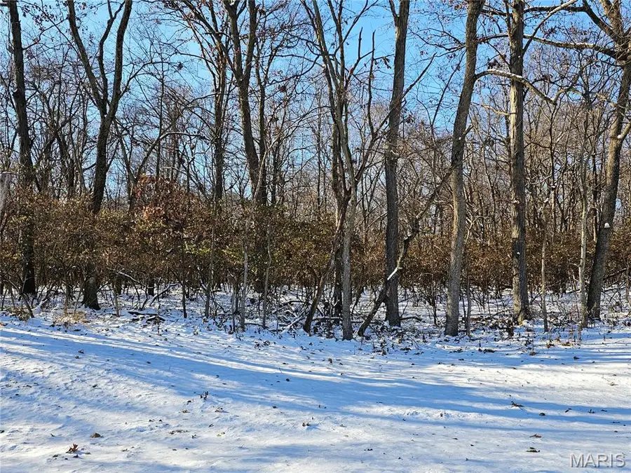 TBD Meisenheimer Avenue, Hillsboro, IL 62049 - Image #2