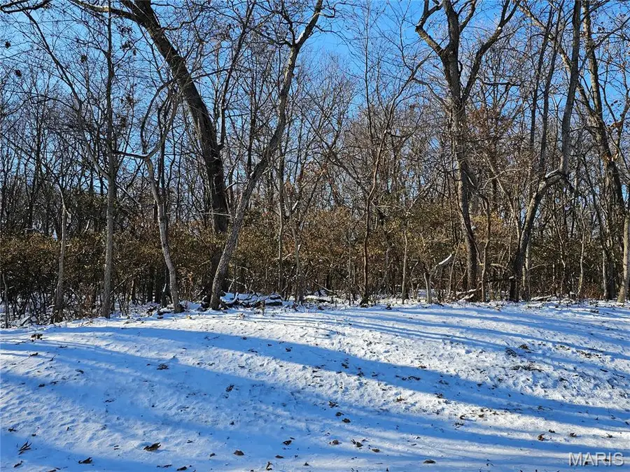 TBD Meisenheimer Avenue, Hillsboro, IL 62049 - Image #3