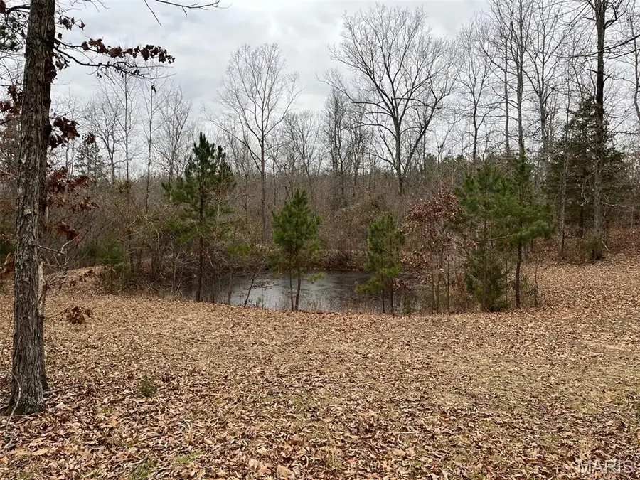 0 Wayne 443, Piedmont, MO 63957 - Image #2