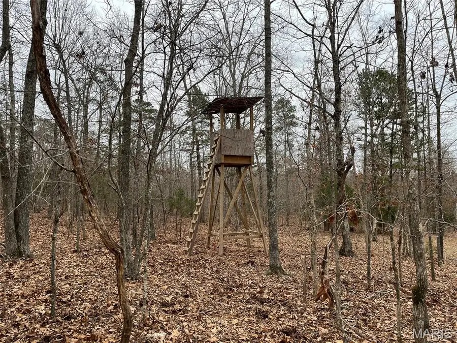 0 Wayne 443, Piedmont, MO 63957 - Image #3