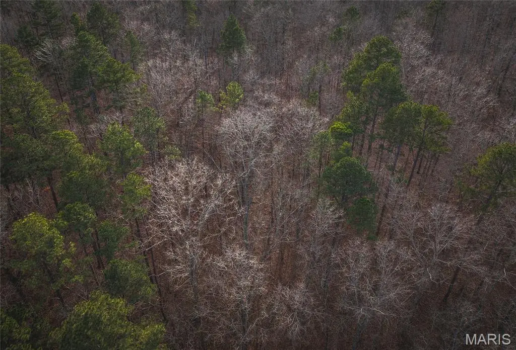 00 Highway Y, Jordan, MO 63935 - Image #1