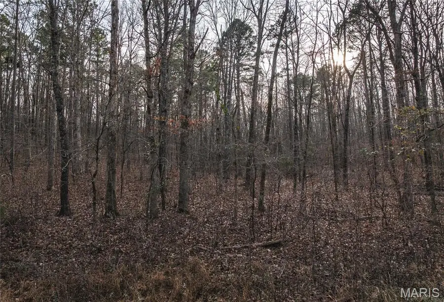 00 Highway Y, Jordan, MO 63935 - Image #3