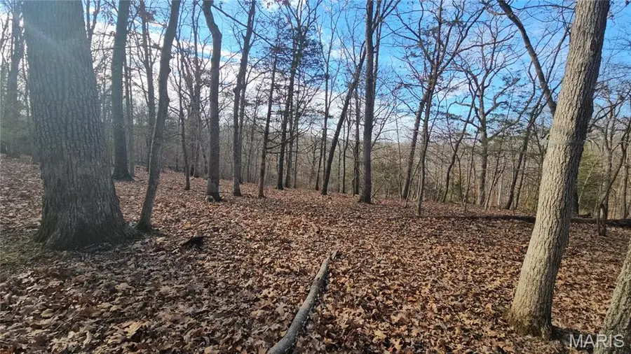 774A Village Green Drive, Lake Sherwood, MO 63357 - Image #2