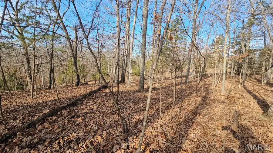 774A Village Green Drive, Lake Sherwood, MO 63357 - Image #3