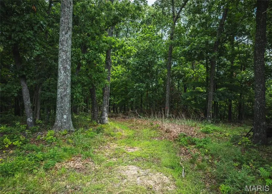2 Trails End Trail, House Springs, MO 63051 - Image #3