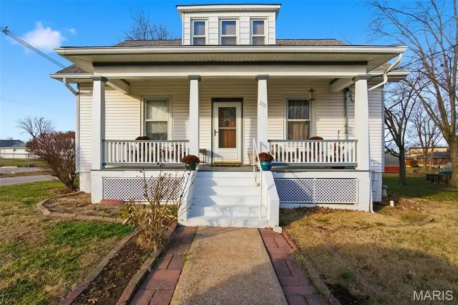 203 E Mill Street E, Waterloo, IL 62298 - Image #2