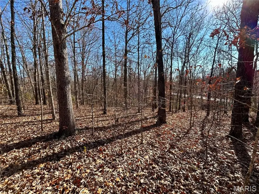 Lots 12-17 County Road 4253, Salem, MO 65560 - Image #2