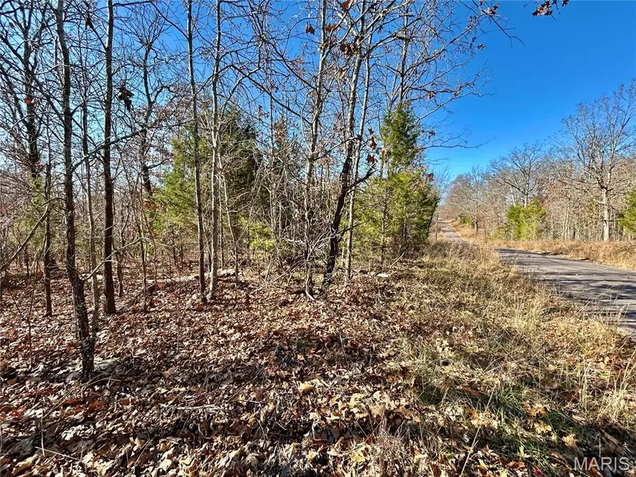 Lots 12-17 County Road 4253, Salem, MO 65560 - Image #3