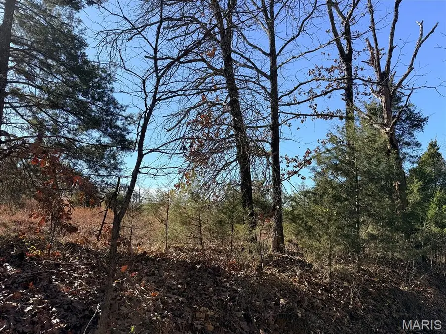 HC 66 Box 531, Liberty, MO 63761 - Image #3