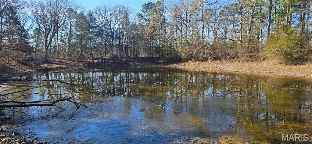 0 County Road 4160, Salem, MO 65560 - Image #1