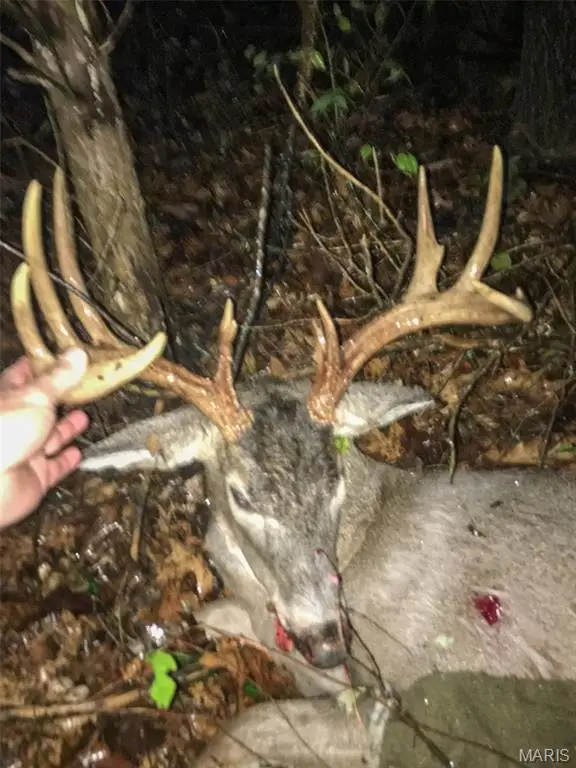 0 Diamond School Road, Grubville, MO 63041