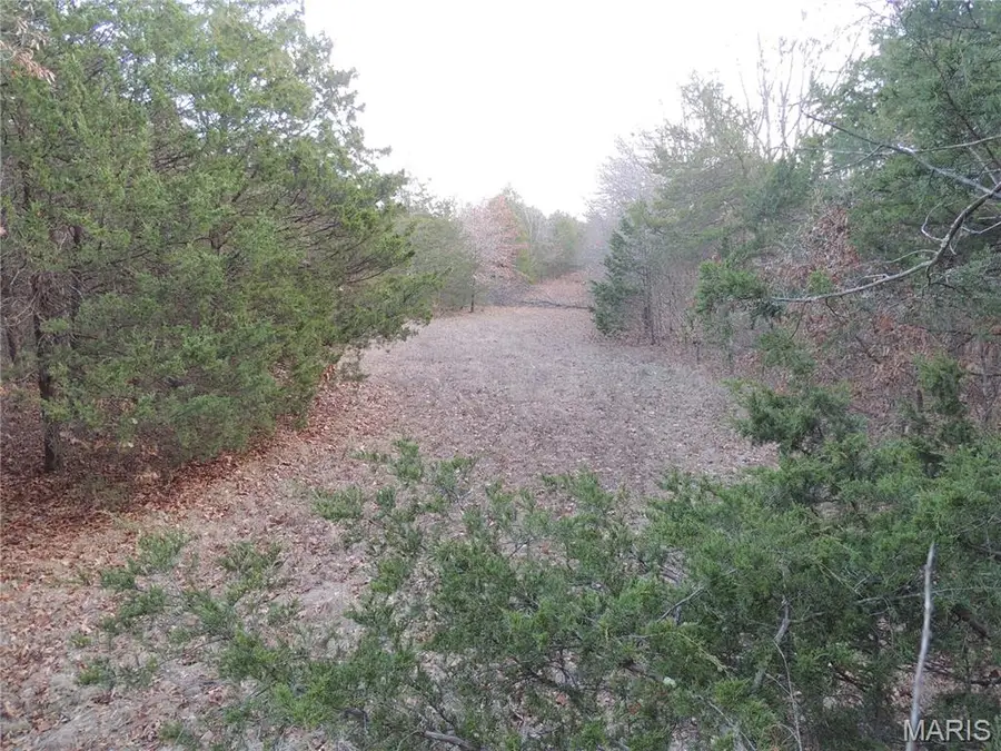 0 Diamond School Road, Grubville, MO 63041 - Image #3