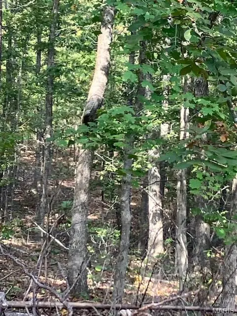 184 Madison Cr 410, Fredericktown, MO 63645 - #1