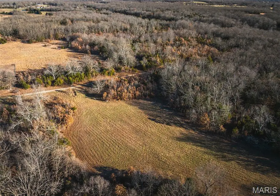 29900 Pelican Drive, Lebanon, MO 65536 - Image #3