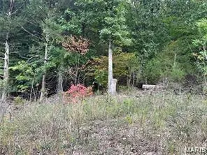 0 Lake Shore Dr Drive, Owensville, MO 65066 - Image #2