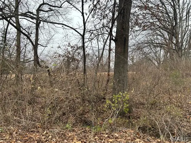 285 Graves, Foley, MO 63347 - Image #1