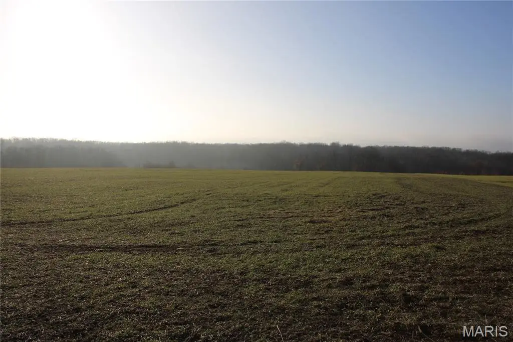 8 Sharps Pl, Perry, MO 63462 - Image #1