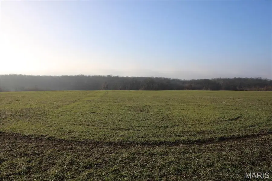 8 Sharps Pl, Perry, MO 63462 - Image #2