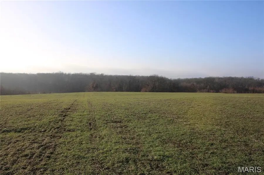 8 Sharps Pl, Perry, MO 63462 - Image #3