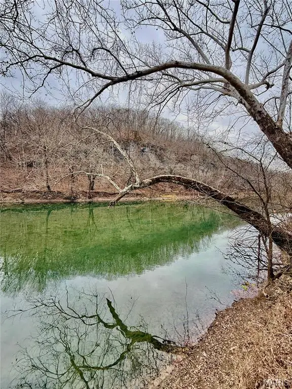 TBD Highway 17, Tract 10, Tavern, MO 65452 - Image #1