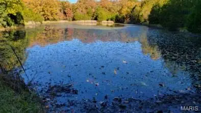 0 Hwy 42, Belle, MO 65013 - Image #2