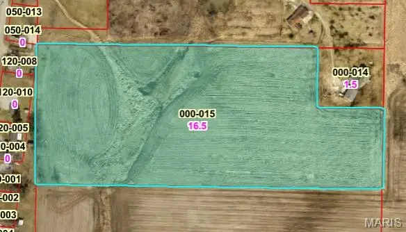 204 Mine Street, Sandoval, IL 62882 - Image #3