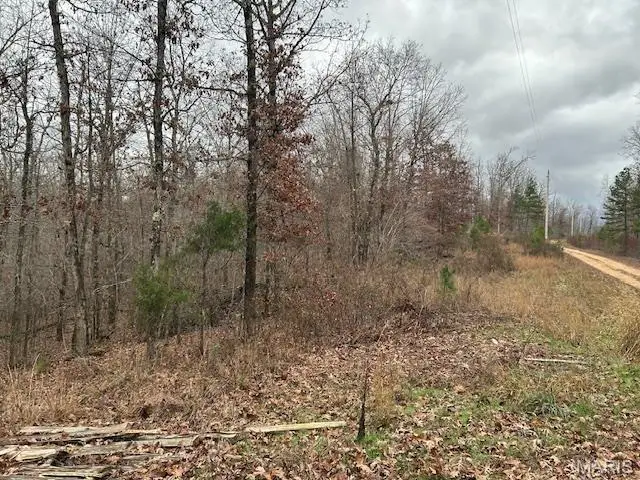 1 Hwy 49, Annapolis, MO 63620 - Image #2