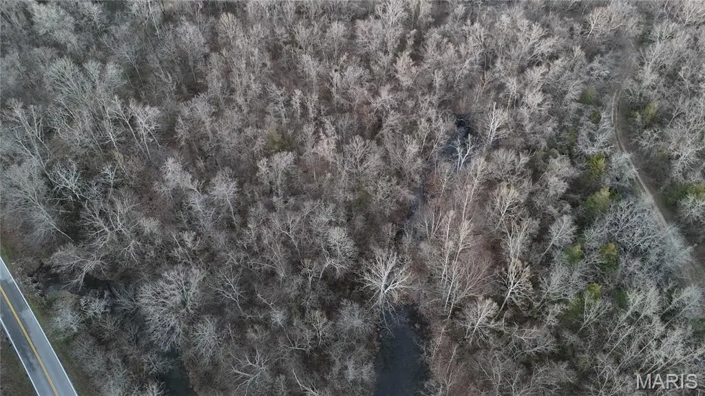 0 River Lot 1, Mill Spring Township, MO 63925 - Image #1