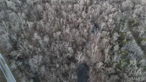 0 River Lot 1, Mill Spring, MO 63925