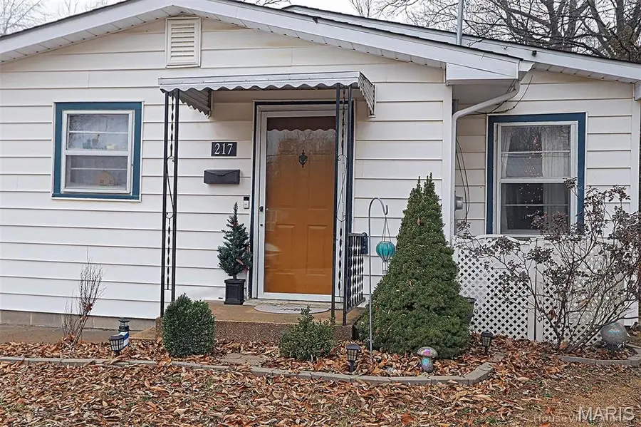 217 N Alexander Street, Farmington, MO 63640 - #2