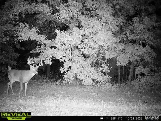 00 TBD Hwy Hh, Chamois, MO 65024 - Image #3