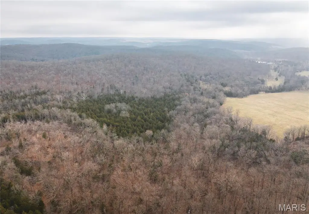 000 Sappington Road, Bourbon, MO 65441 - Image #1