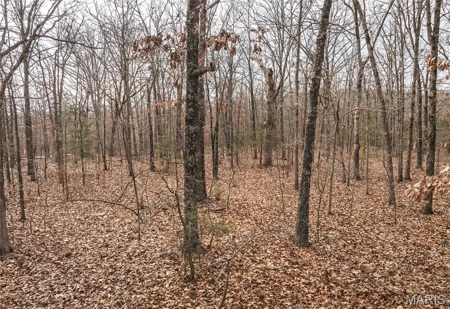 000 Sappington Road, Bourbon, MO 65441 - Image #3